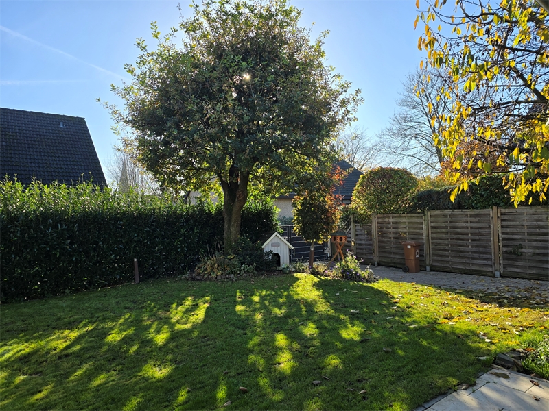 Garten Einfamilienhaus Bad Iburg