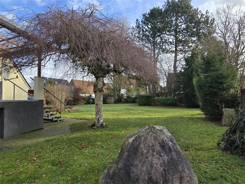 Blick in den Garten Einfamilienhaus Lotte