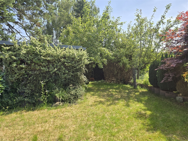 Blick in den Garten Einfamilienhaus Greven