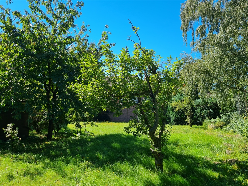 Garten mit Obstb�umen Einfamilienhaus Bramsche